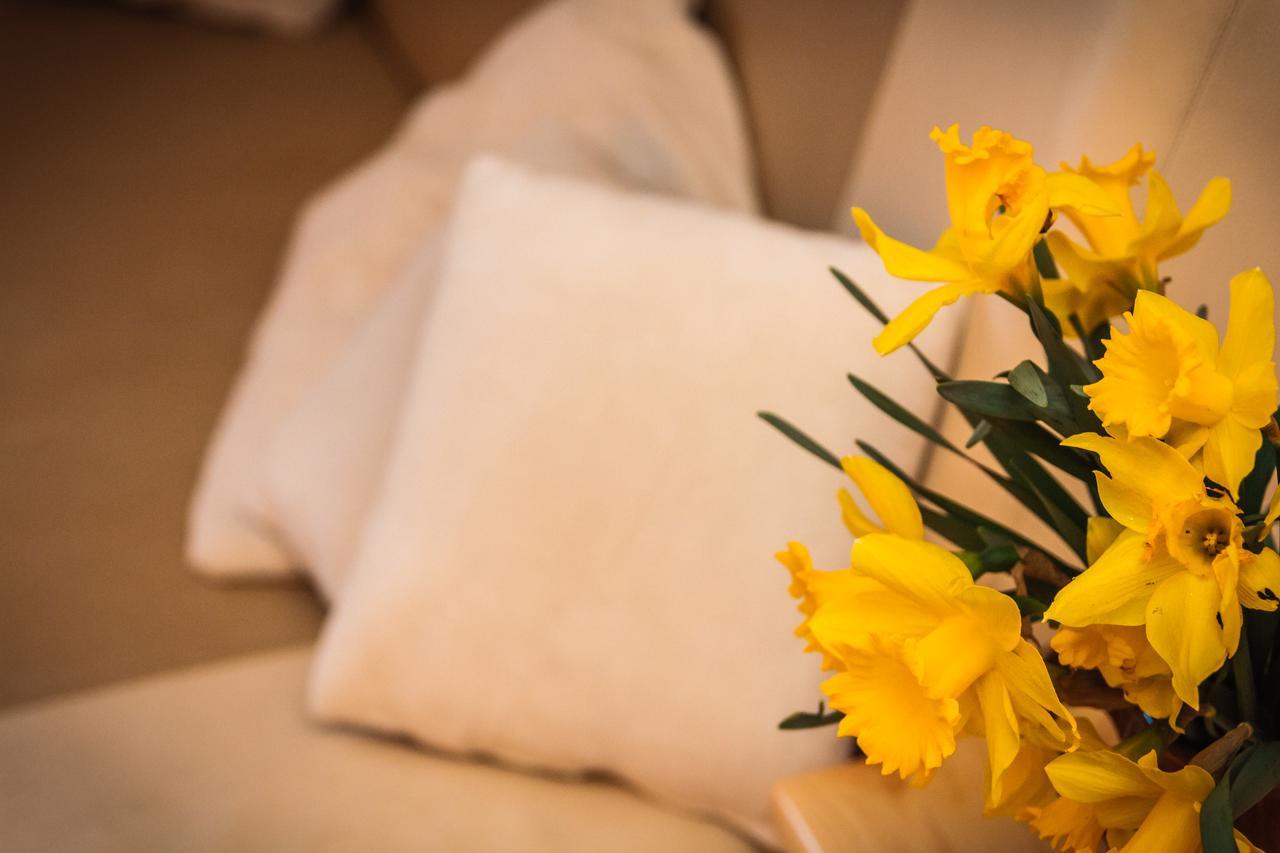 Apartments Fairy Land Rakovica Ngoại thất bức ảnh